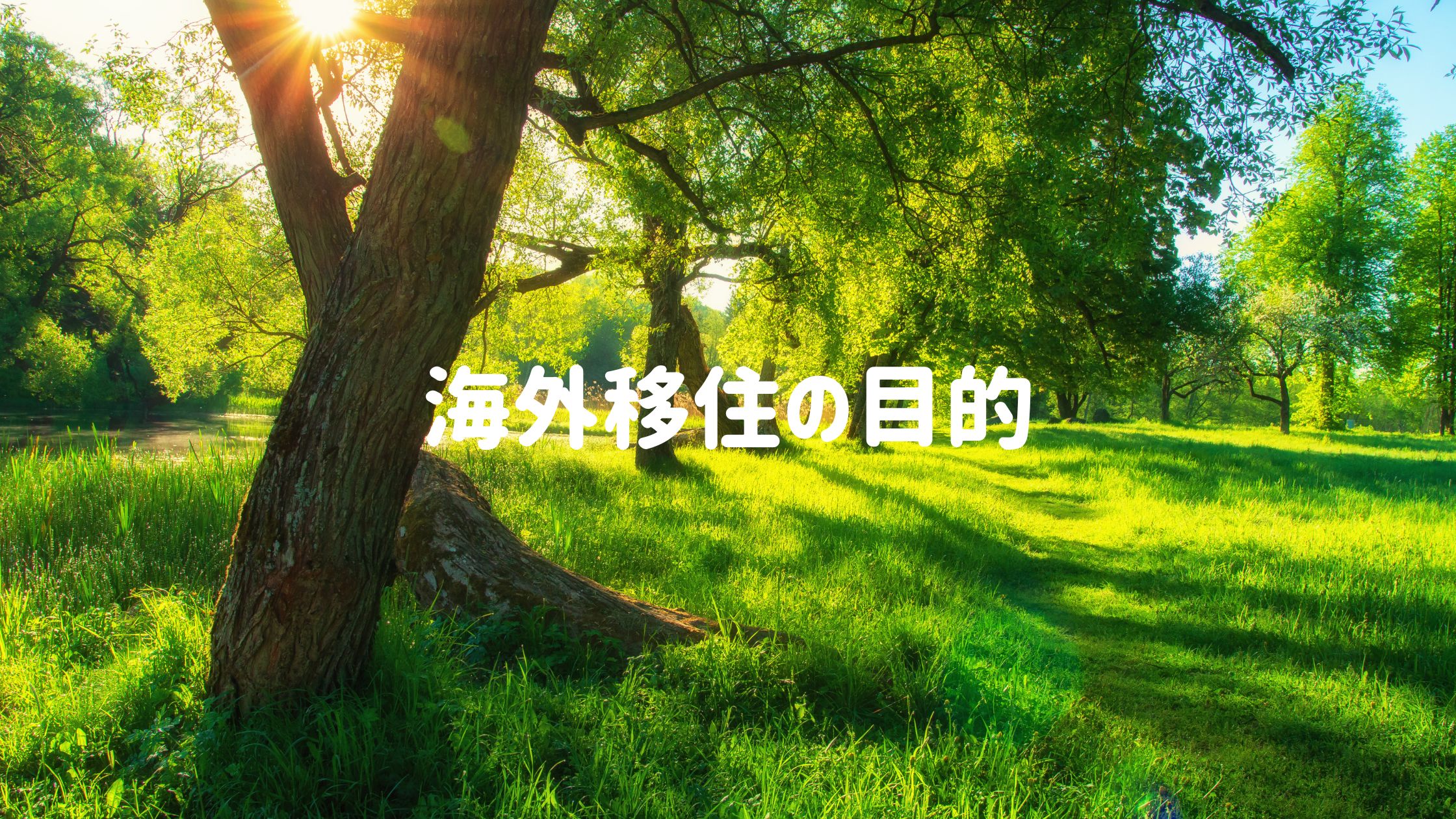 海外移住の目的のアイキャッチ画像